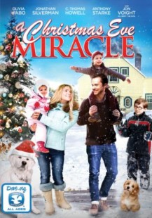 A Christmas Eve Miracle