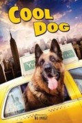 Cool Dog (Quality = 100%)