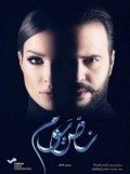 نص يوم 