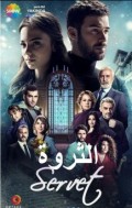 الثروة