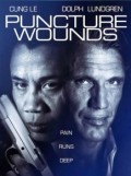 Puncture Wounds (100%)