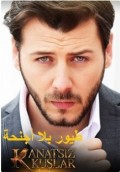 طيور بلا أجنحة