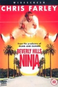 Beverly Hills Ninja