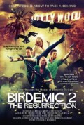 Birdemic 2: The Resurrection (100%)