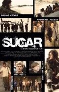 Sugar (100%)