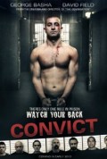 Convict (100%)