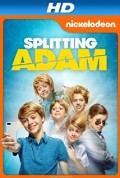 Splitting Adam (100%)